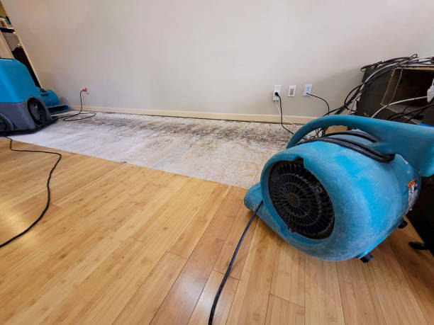 Professional Ceiling Water Damage Repair technician working in Winfield, AL